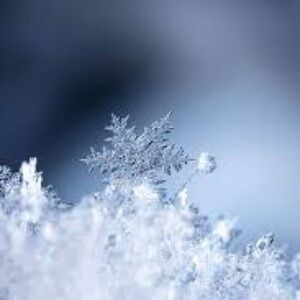 Meet your Posher, Manny